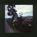 scan0050