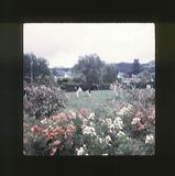 scan0064