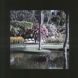 scan0066