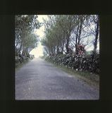 scan0075