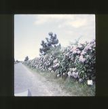 scan0076