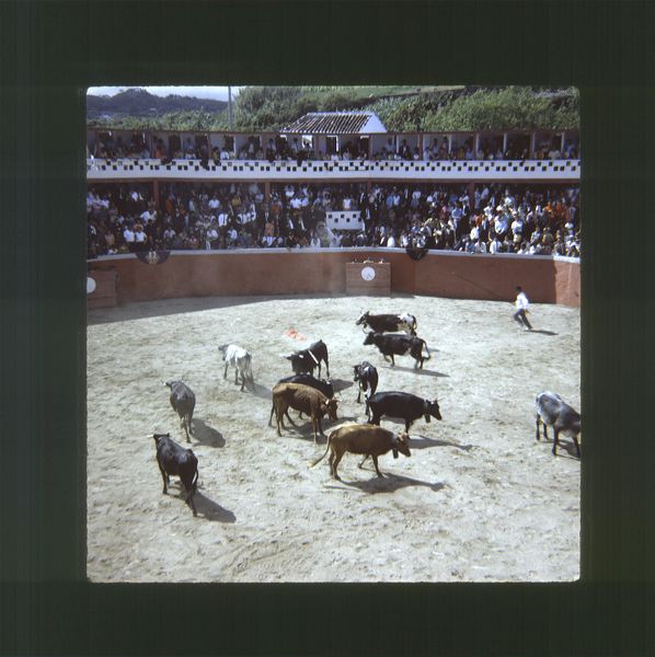 scan0003.jpg
