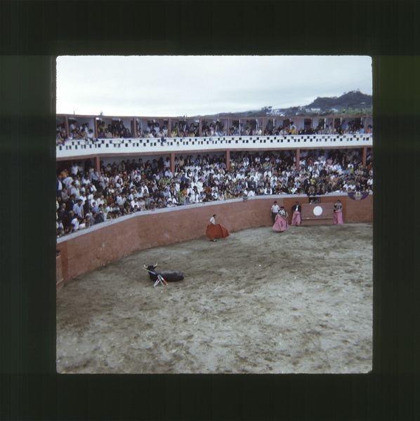 scan0007.jpg