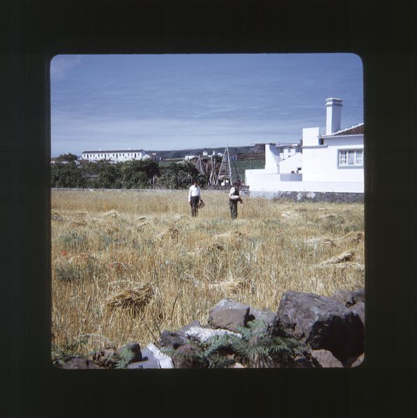 scan0027.jpg
