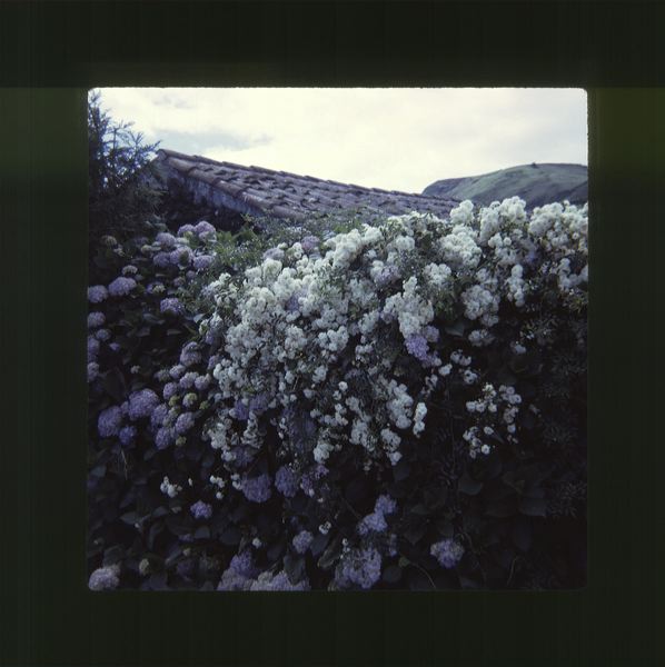 scan0047.jpg