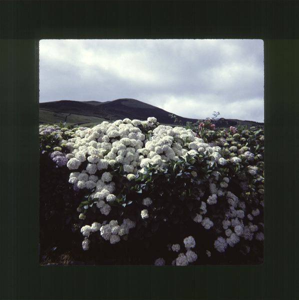 scan0049.jpg