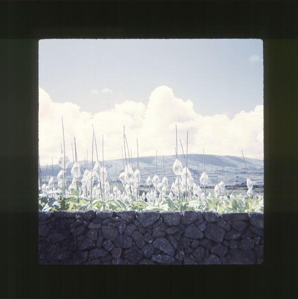 scan0058.jpg