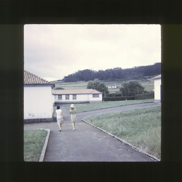 scan0059.jpg