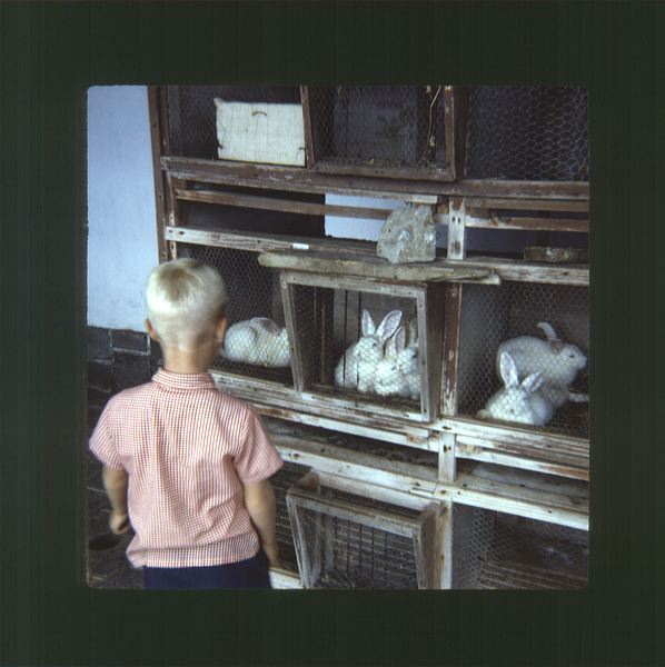 scan0061.jpg