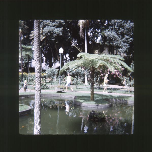 scan0065.jpg