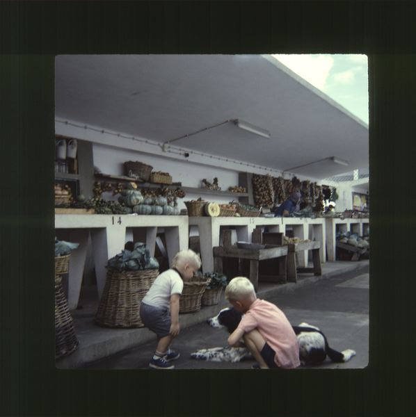 scan0071.jpg
