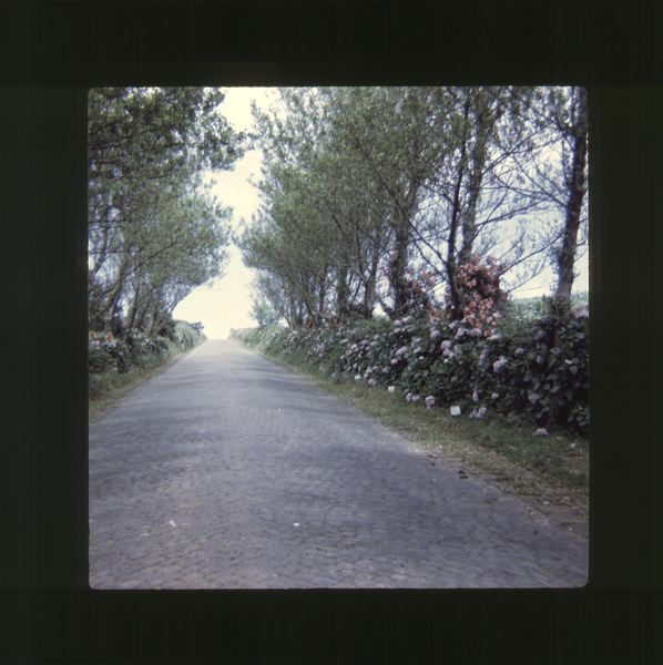 scan0075.jpg