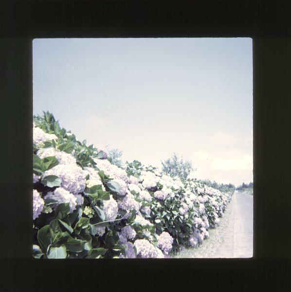 scan0077.jpg
