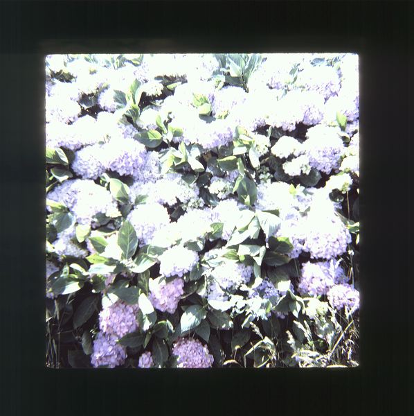 scan0078.jpg