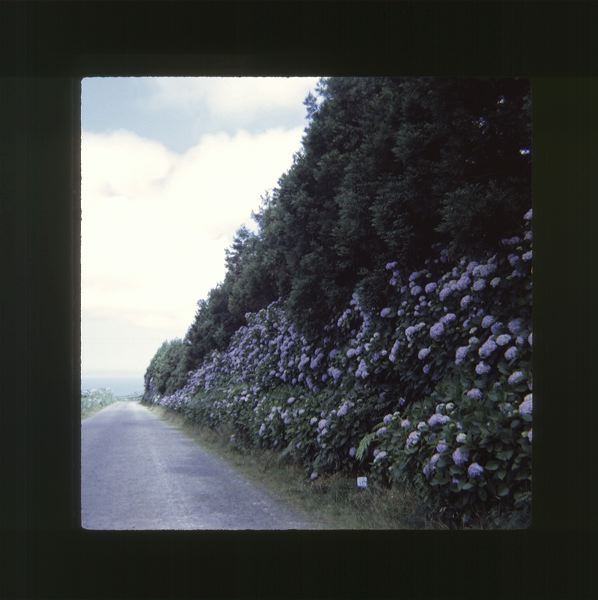 scan0080.jpg