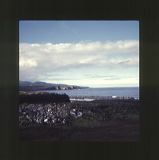 scan0062