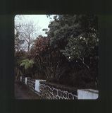 scan0066
