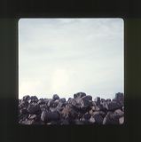 scan0071