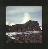 scan0075