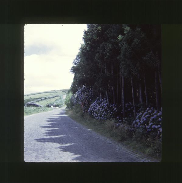 scan0001.jpg