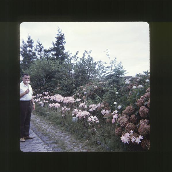 scan0018.jpg