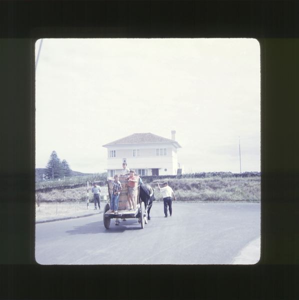 scan0019.jpg