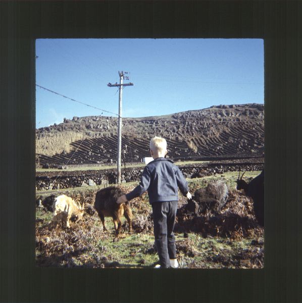 scan0060.jpg