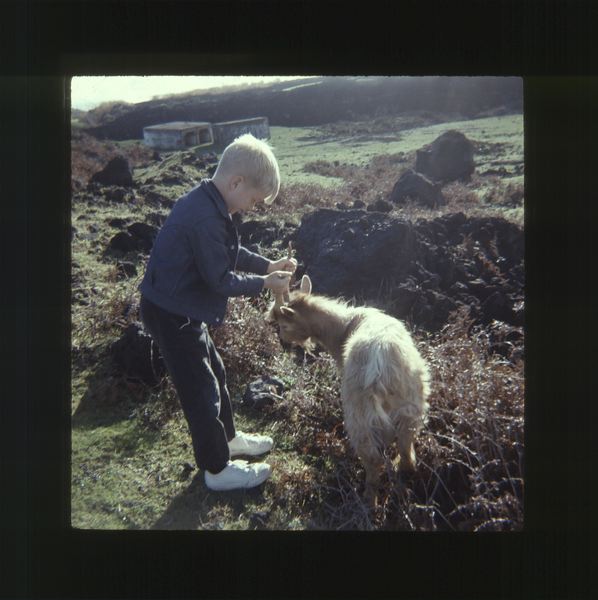 scan0061.jpg