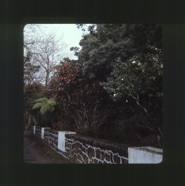 scan0066.jpg