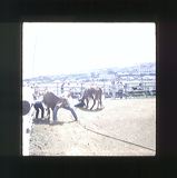 scan0041
