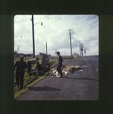 scan0068
