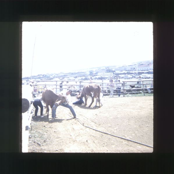 scan0041.jpg