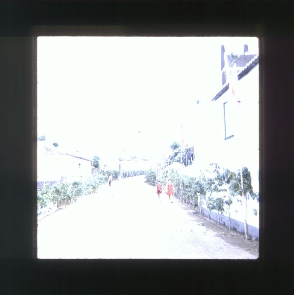 scan0044.jpg