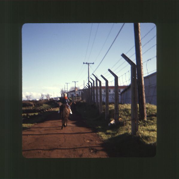 scan0066.jpg