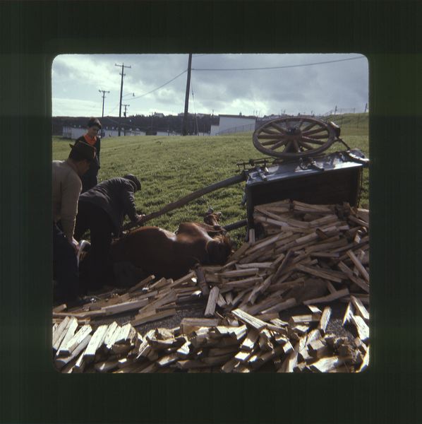 scan0069.jpg