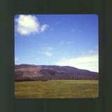 scan0005