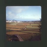 scan0009