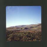 scan0011