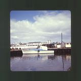 scan0016