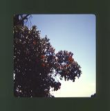 scan0035