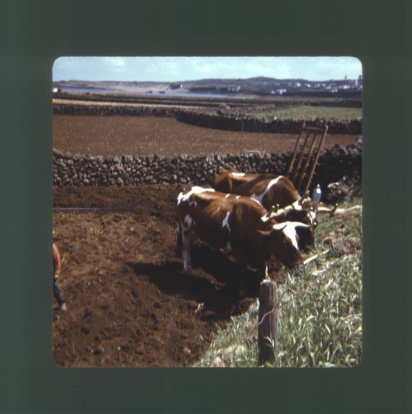 scan0001.jpg