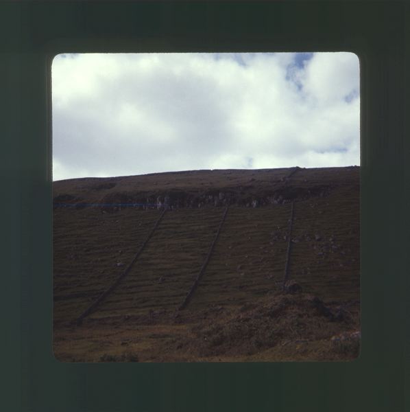 scan0003.jpg