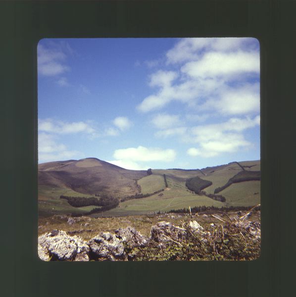 scan0004.jpg