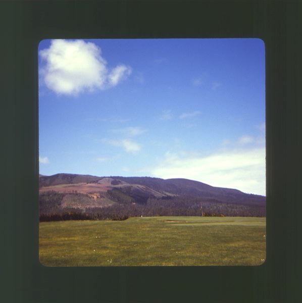 scan0005.jpg