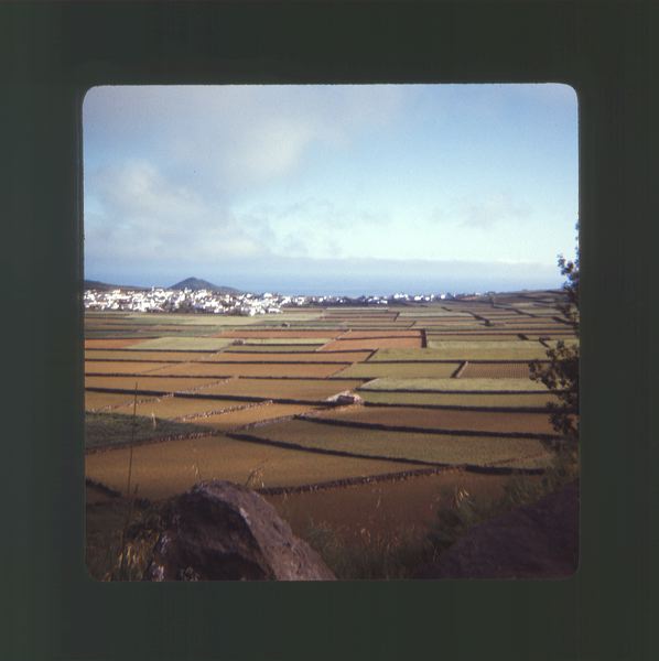 scan0009.jpg