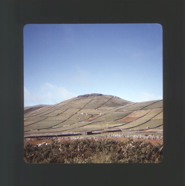 scan0010.jpg