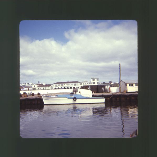 scan0016.jpg