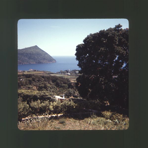 scan0033.jpg