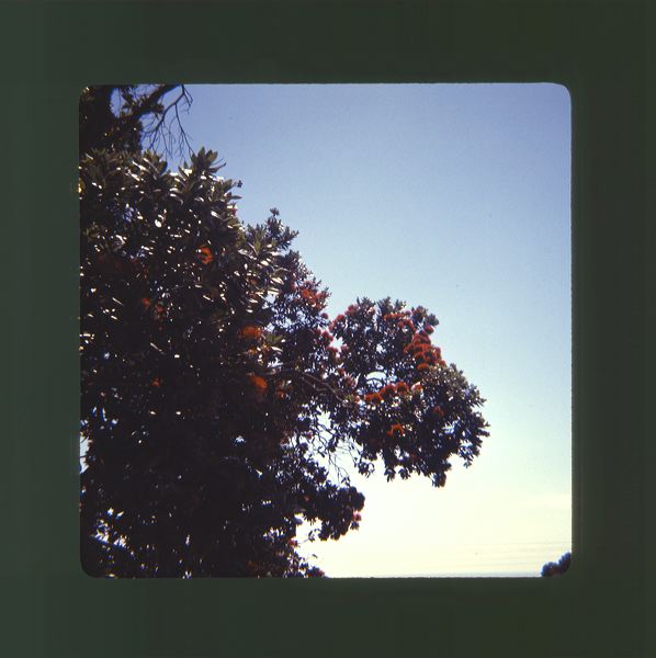 scan0035.jpg