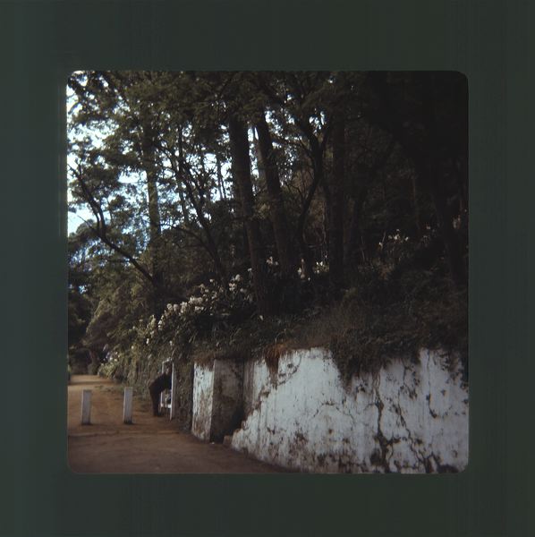 scan0078.jpg